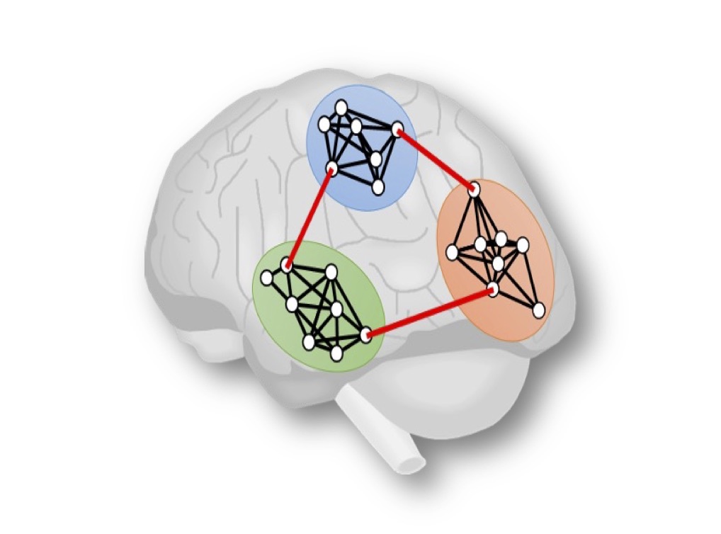 strong Next: strong Cognitive Sciences and Brain Modelling