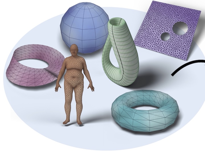Topological Neural Operators