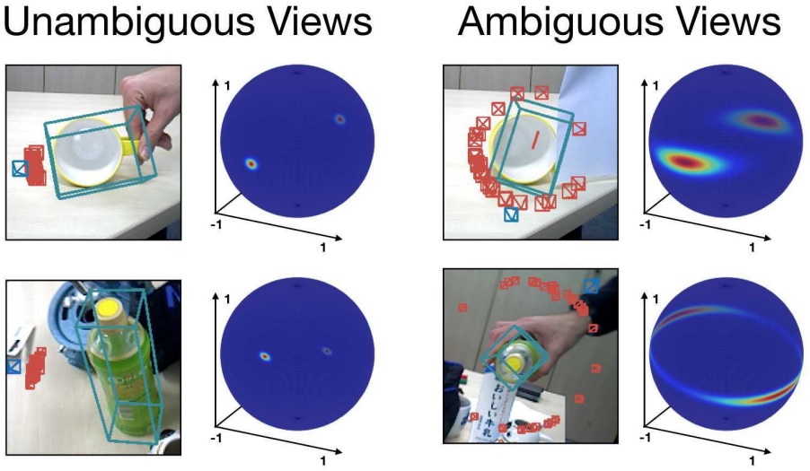Explaining the Ambiguity of Object Detection and 6D Pose from Visual Data