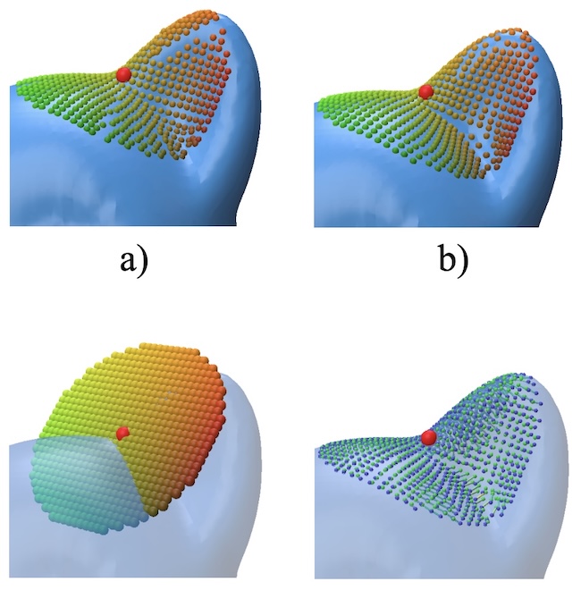 Learning Geometry-Aware Embedding Fields for Intrinsic Riemannian Mappings