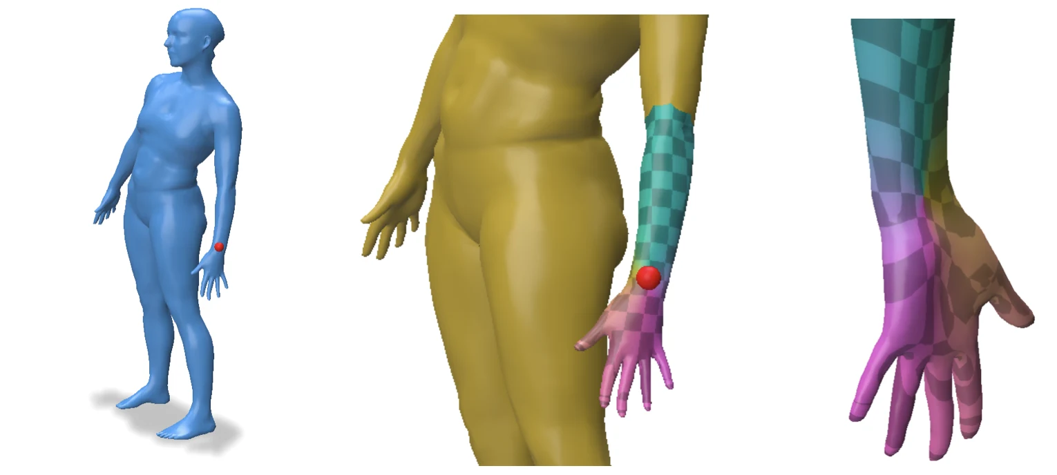 Failure case near a thin articulated wrist and hand transition