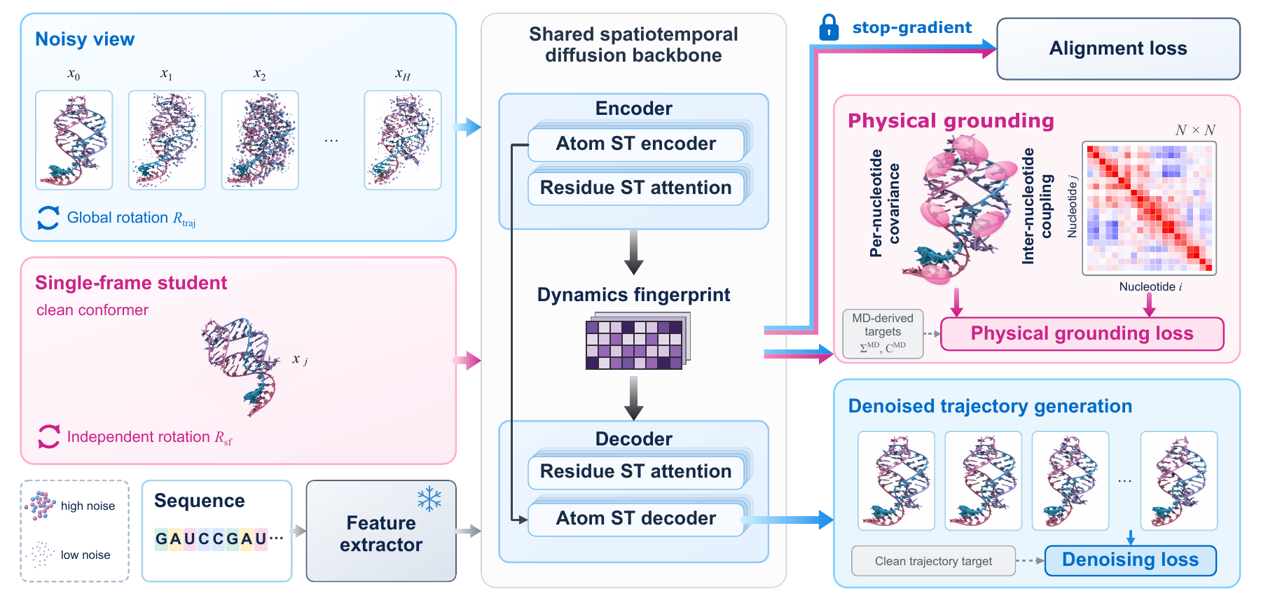 RNADynNet architecture: trajectory learning, single-frame-to-trajectory alignment and physical grounding