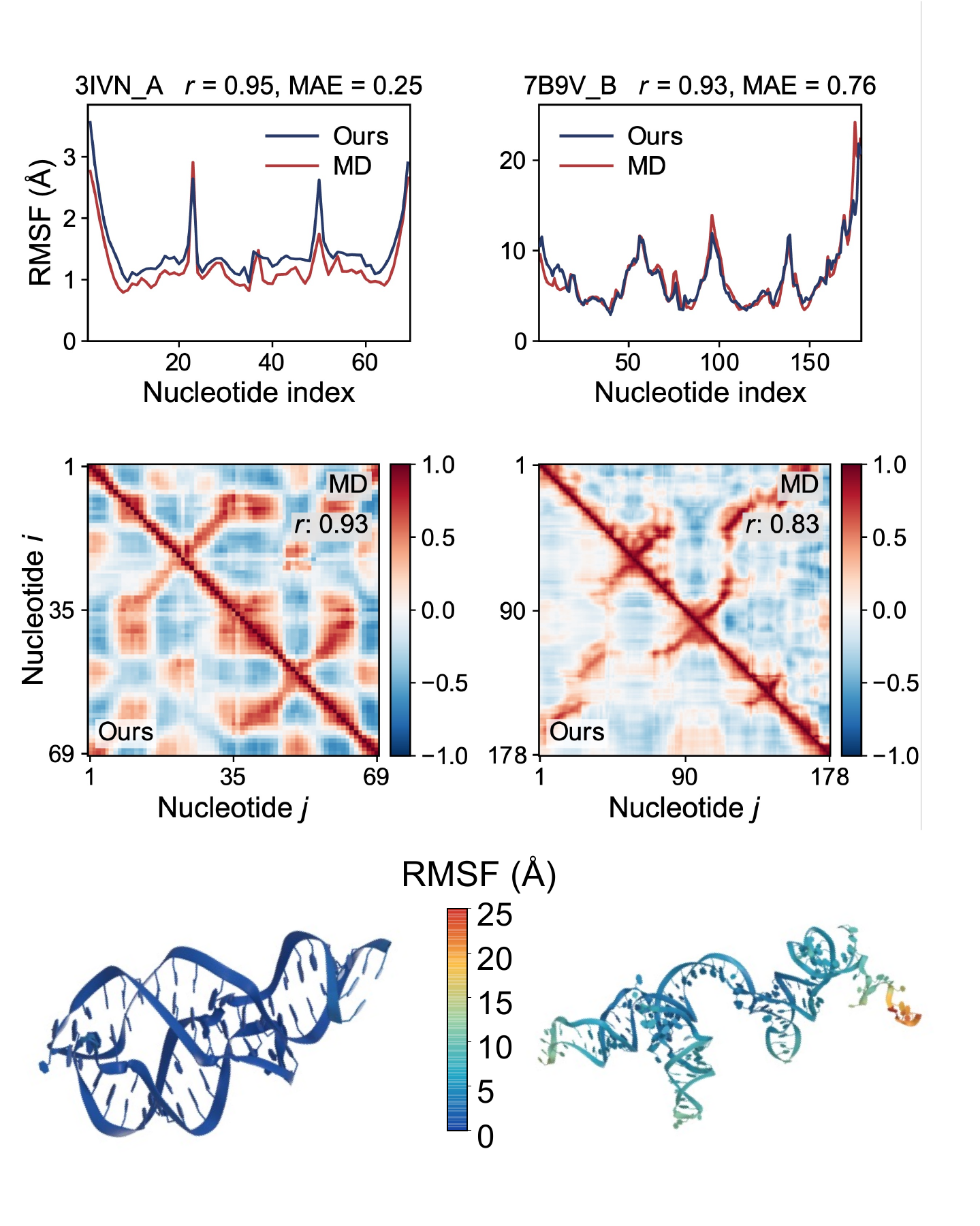 RMSF profiles and NMC predictions compared with MD references