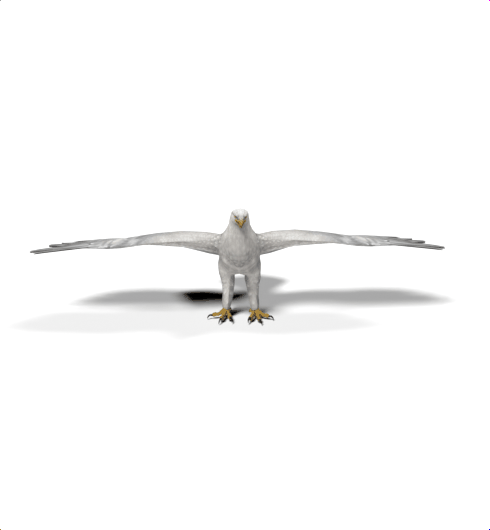 Eagle mesh