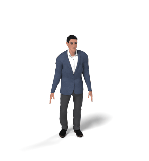 Source mesh animation
