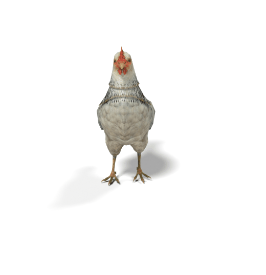 composed mesh result