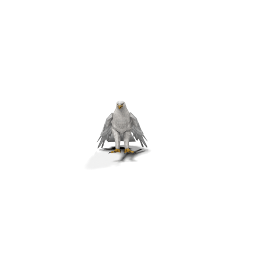 eagle takeoff mesh