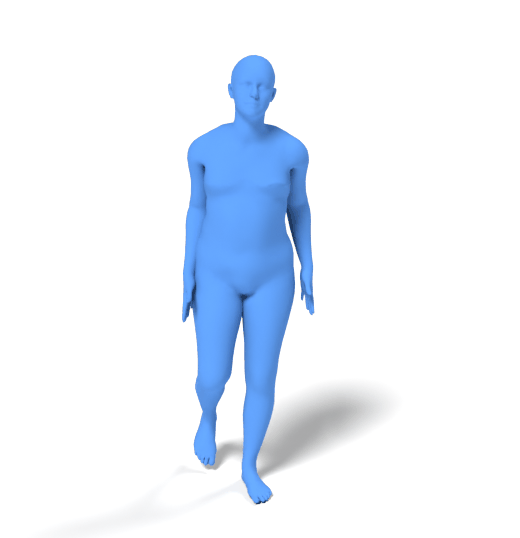 human walk mesh