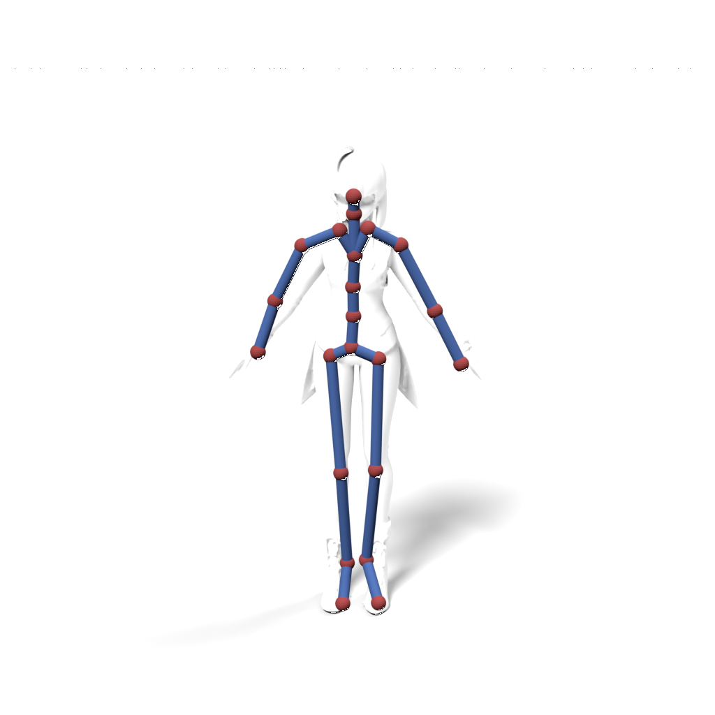 Skeleton overlay