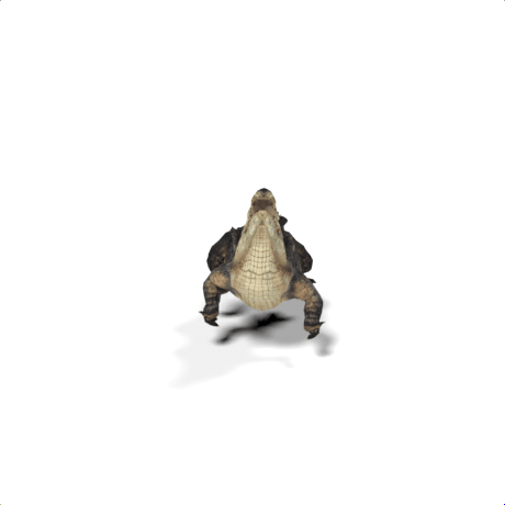 croc mesh