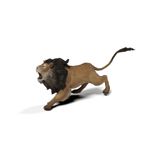 lion mesh