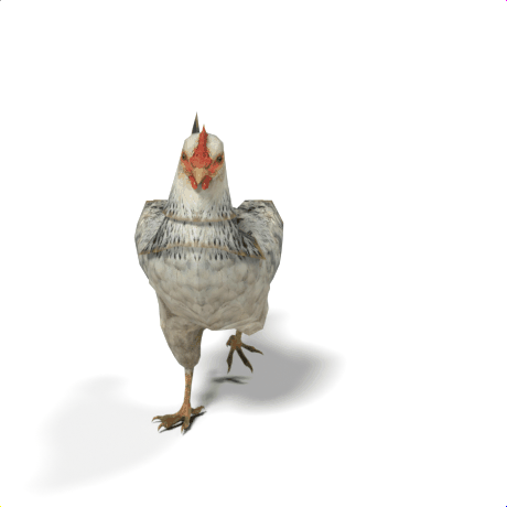 chicken mesh